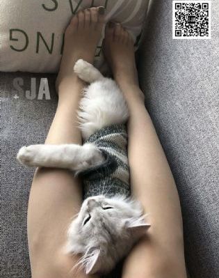 《一代匠师》电视剧