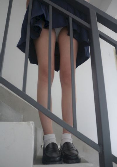 分道扬镳