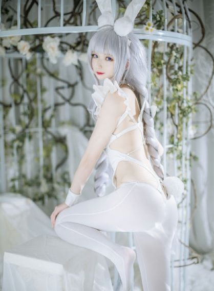 镜花缘传奇
